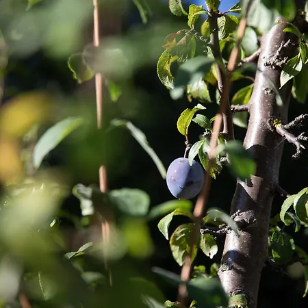 Roduit By Interhome Σπίτι διακοπών